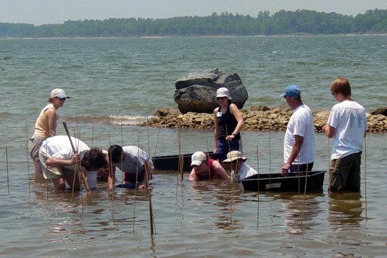 Maryland Builds 70-Acre Oyster Reef in Hooper Strait With $10M Federal Grant