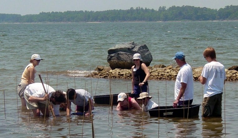 Maryland Builds 70-Acre Oyster Reef in Hooper Strait With $10M Federal Grant