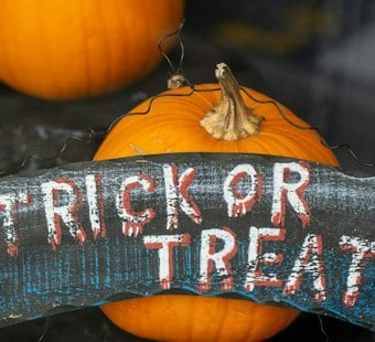 Maryville Trunk-or-Treat Brings Deputies, K-9s and Costumes to Everett Rec Center