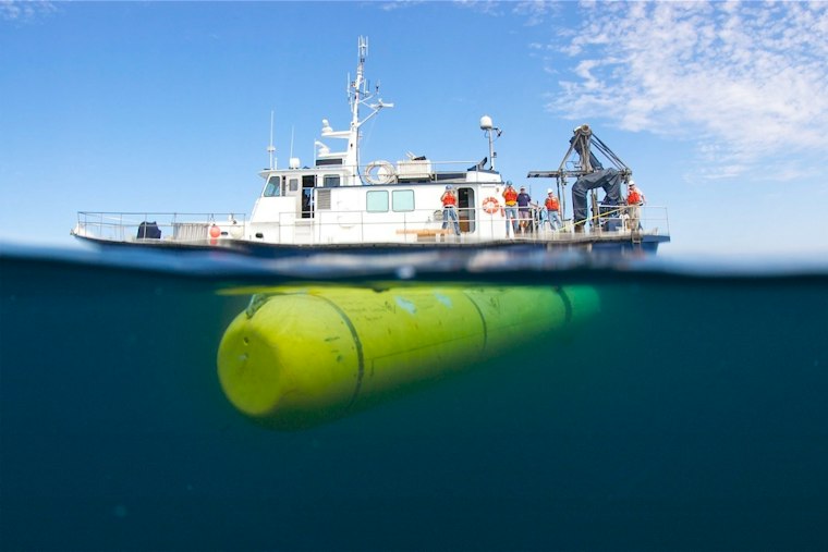 MBARI Captures Barreleye Fish in 4K During Rare Encounter