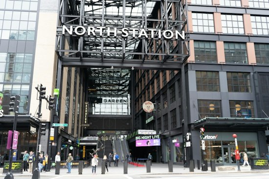 MBTA Eyes Trained Falcons to Drive Pigeons Out of Boston Stations