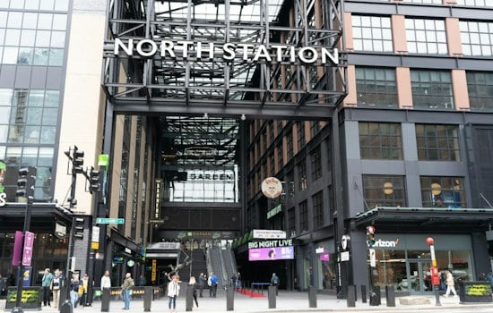 MBTA Eyes Trained Falcons to Drive Pigeons Out of Boston Stations