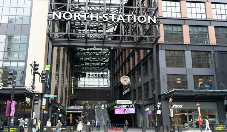 MBTA Eyes Trained Falcons to Drive Pigeons Out of Boston Stations