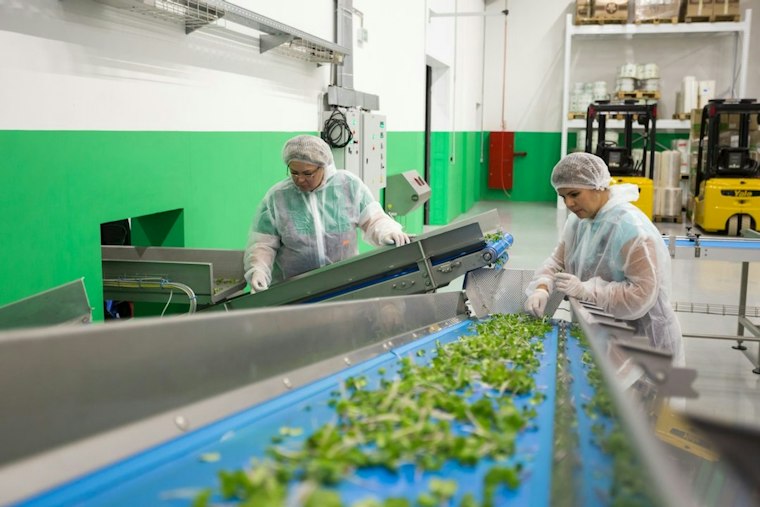 McAllen Produce Managers Charged After Nine Workers Found Lacking Papers
