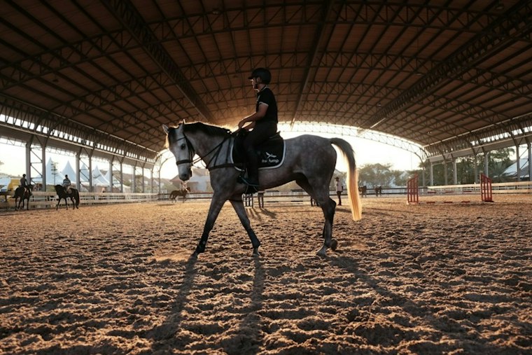 McKinney Horse Therapy Nonprofit Hits $13.2M Goal to Expand Capacity for 400-Person Waitlist