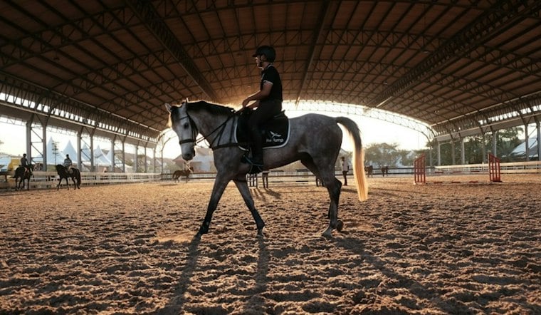 McKinney Horse Therapy Nonprofit Hits $13.2M Goal to Expand Capacity for 400-Person Waitlist