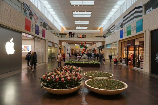 Mejuri Plans NorthPark Boutique as Dallas Luxury Scene Shifts