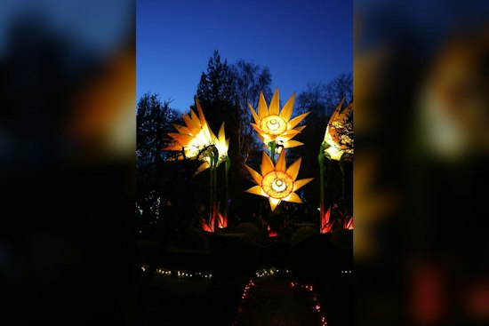 Memphis Botanic Garden Lights Up Herb Garden for Holiday Wonders Nov. 27