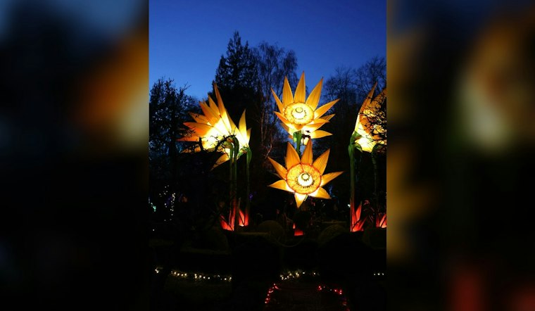Memphis Botanic Garden Lights Up Herb Garden for Holiday Wonders Nov. 27
