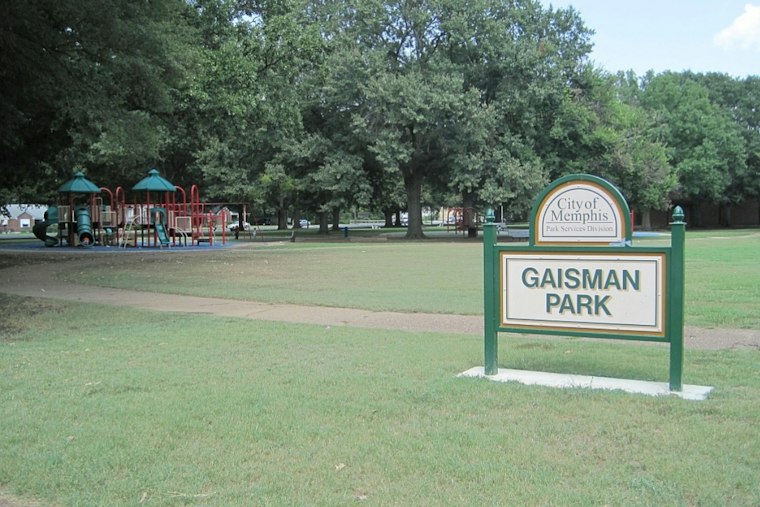 Memphis Voters Rally at Gaisman Park as New GOP Map Splits Shelby County Three Ways