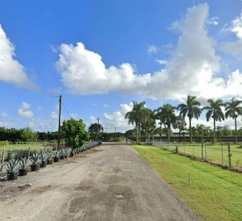 Miami-Dade Captain Finds Man Shot Dead Along SW 126th Street in Redlands