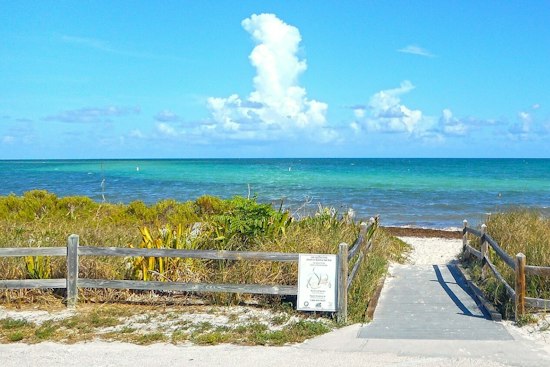 Miami Man Caught With Dead Tarpon at Bahia Honda, Spends Night in Jail