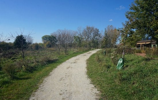 Milwaukee's Havenwoods State Forest Debuts Braille Trail Built for Blind Hikers