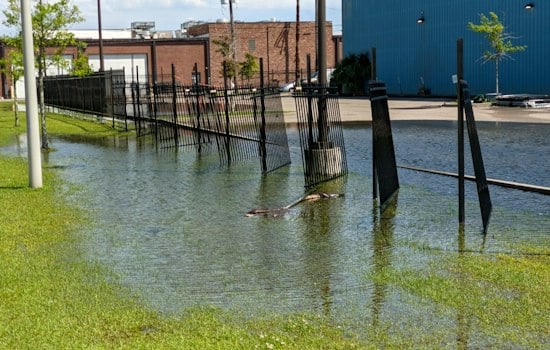 Moreno Tours Paris Flood Basin, Eyes Tech Fix for New Orleans Drainage