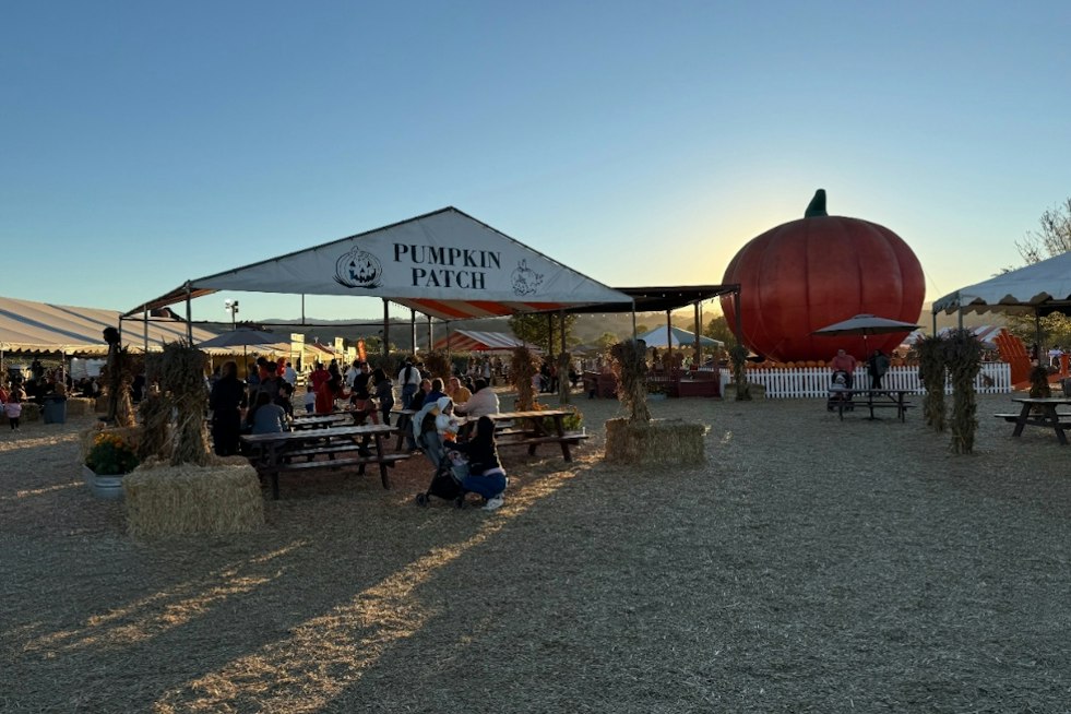 Morgan Hill's Free Pumpkin Patch Brings Back Giant Dinosaurs and a New Bee Train