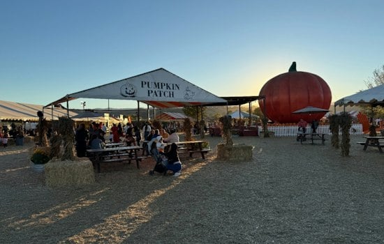 Morgan Hill's Free Pumpkin Patch Brings Back Giant Dinosaurs and a New Bee Train