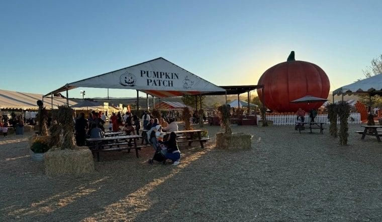 Morgan Hill's Free Pumpkin Patch Brings Back Giant Dinosaurs and a New Bee Train