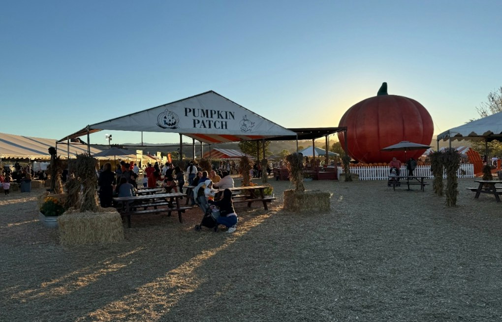 Morgan Hill's Free Pumpkin Patch Brings Back Giant Dinosaurs and a New Bee Train