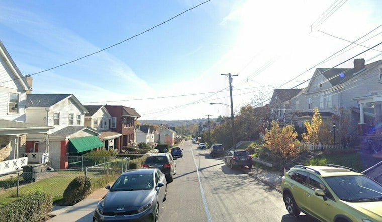 Mount Oliver Woman Loses Fingertip Breaking Up Pit Bull Attack on Her Dog
