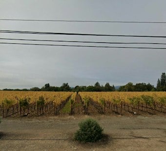 Napa County Approves Soda Canyon Micro-Winery Despite Groundwater Fight
