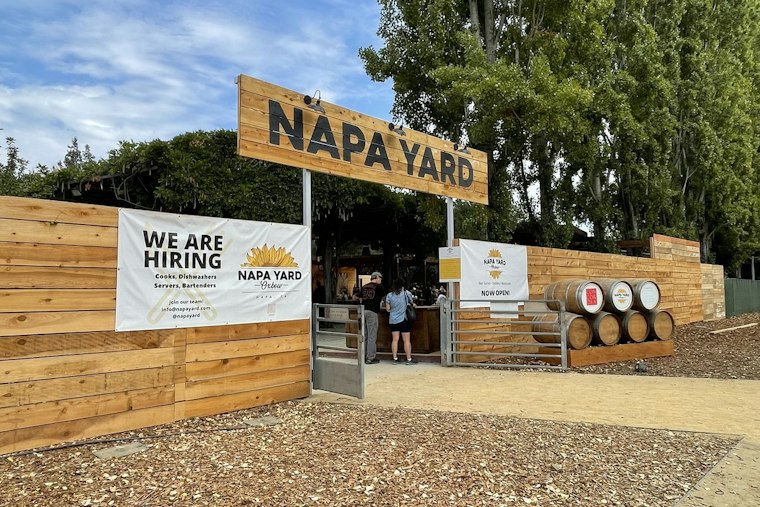 Napa Yard Goes to the Dogs as Wiener Pups Race for Paw-Shaped Trophies