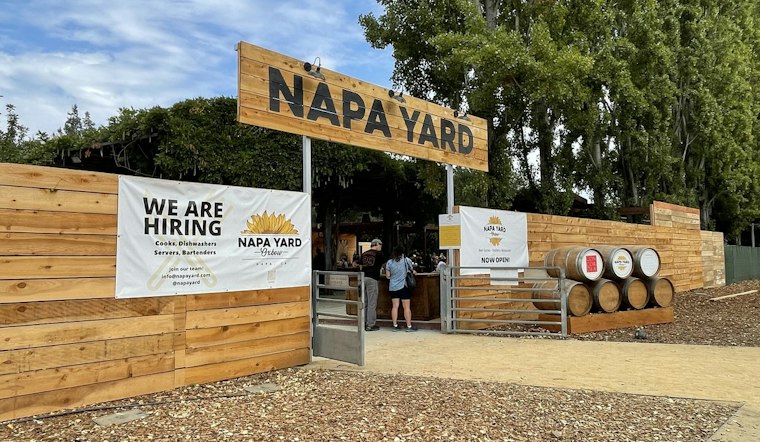 Napa Yard Goes to the Dogs as Wiener Pups Race for Paw-Shaped Trophies