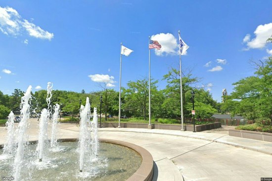 Naperville No Kings Rally Puts Early Voting Logistics and Party Outreach in Focus
