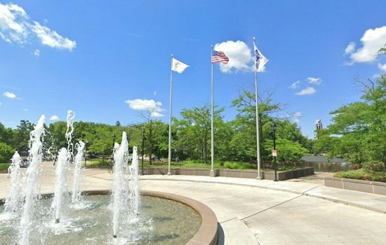 Naperville No Kings Rally Puts Early Voting Logistics and Party Outreach in Focus