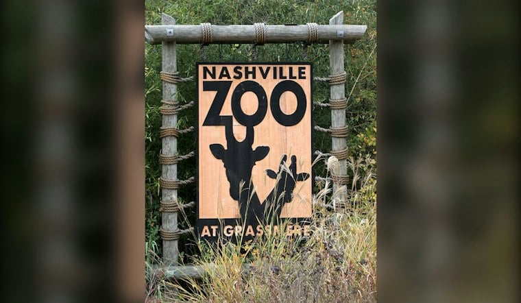 Nashville Zoo's Baby Red Pandas Finally Venture Out Onto Bamboo Trail