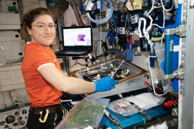 NC State Grad Christina Koch Grounded for Good as NASA's New Acting Deputy Chief Engineer