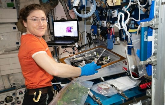 NC State Grad Christina Koch Grounded for Good as NASA's New Acting Deputy Chief Engineer