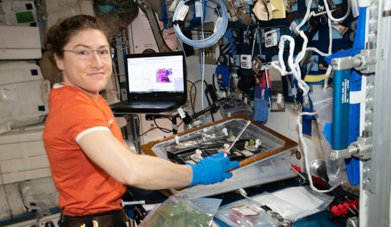 NC State Grad Christina Koch Grounded for Good as NASA's New Acting Deputy Chief Engineer