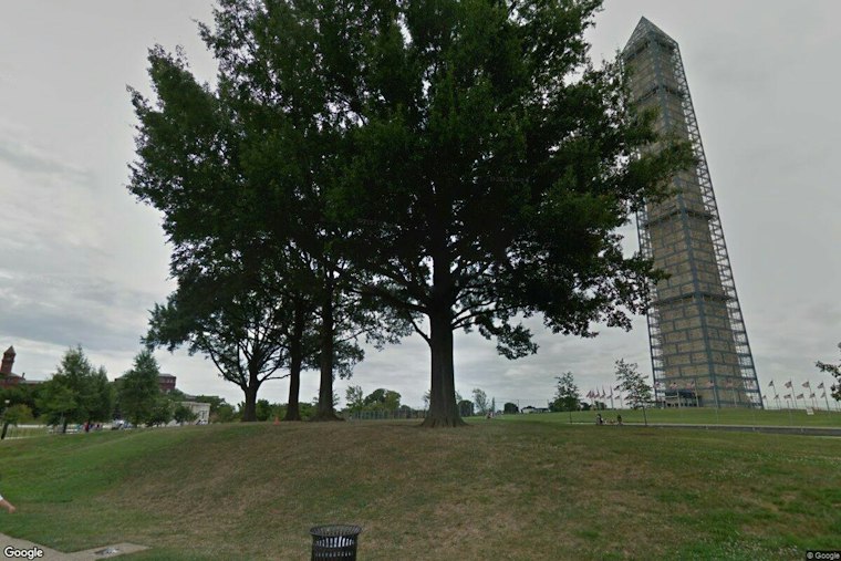 Nearly 1,000 DC Residents Scream Together at Washington Monument