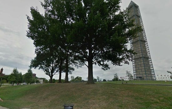 Nearly 1,000 DC Residents Scream Together at Washington Monument