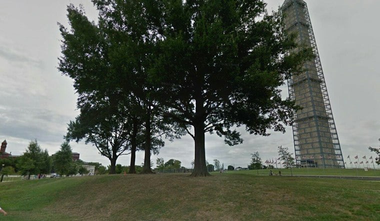 Nearly 1,000 DC Residents Scream Together at Washington Monument