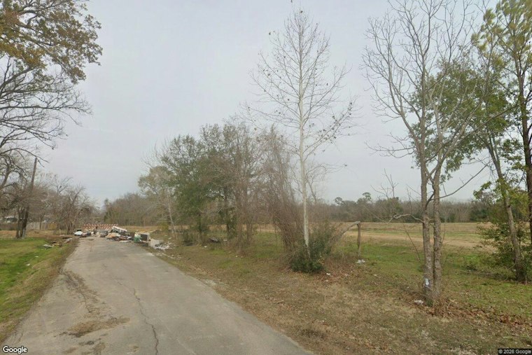 Nearly 40 Dogs Dumped Near Shady Lane and Bantum Street in Houston