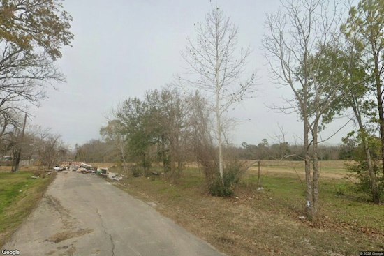 Nearly 40 Dogs Dumped Near Shady Lane and Bantum Street in Houston