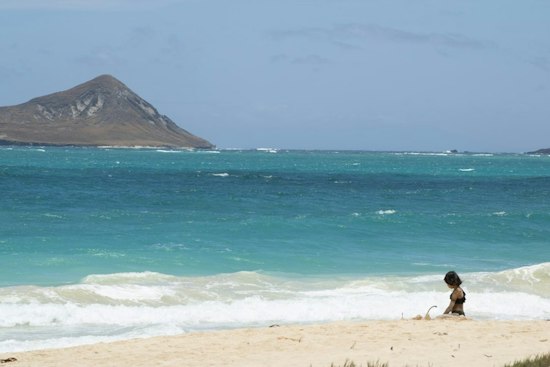 New Kāneʻohe Event Asks Guests to Turn In Phones for a Half-Day Pause