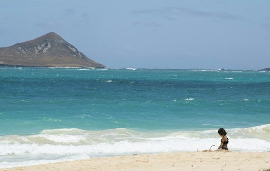 New Kāneʻohe Event Asks Guests to Turn In Phones for a Half-Day Pause