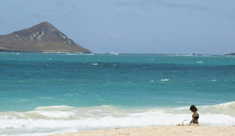 New Kāneʻohe Event Asks Guests to Turn In Phones for a Half-Day Pause