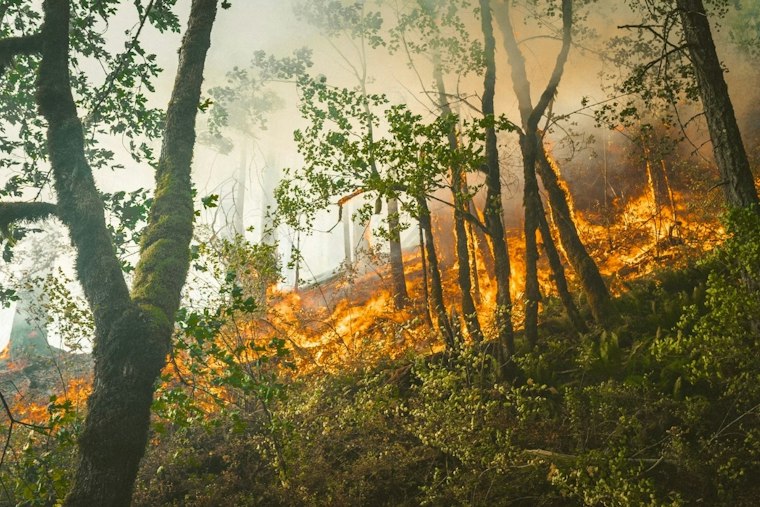 New Quimby Fire Ignites in East San Jose Foothills, Cause Still Unknown