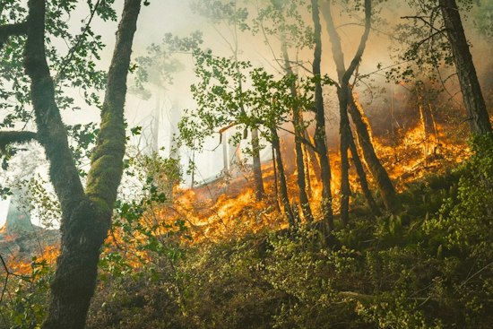 New Quimby Fire Ignites in East San Jose Foothills, Cause Still Unknown