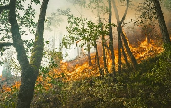 New Quimby Fire Ignites in East San Jose Foothills, Cause Still Unknown