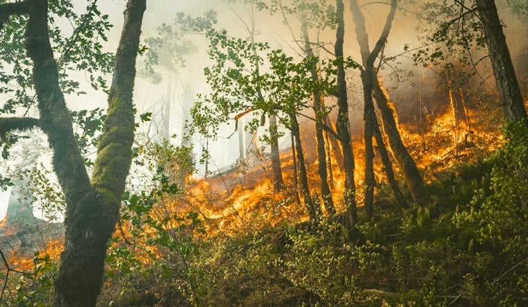 New Quimby Fire Ignites in East San Jose Foothills, Cause Still Unknown