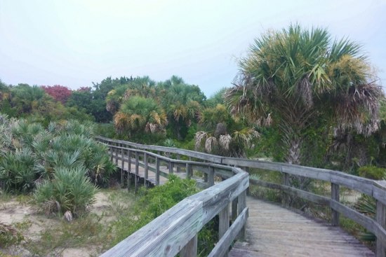 New Smyrna Beach Swaps Splintery Boardwalks for Recycled Composite Decking