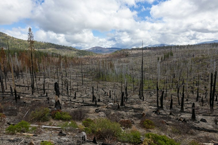 New Wildfire Erupts Near Sloat In Plumas County, Cause Still Unknown