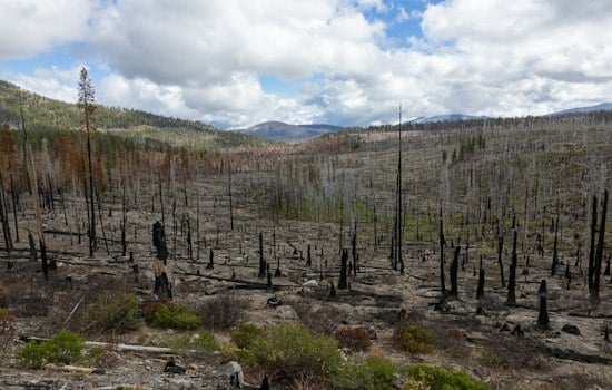 New Wildfire Erupts Near Sloat In Plumas County, Cause Still Unknown