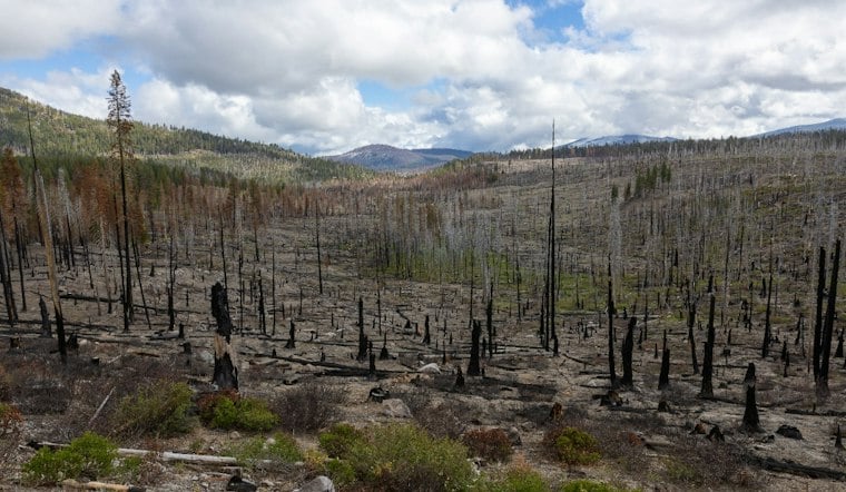 New Wildfire Erupts Near Sloat In Plumas County, Cause Still Unknown