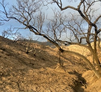 Newsom Signs Law Shielding Altadena From Dense Rebuild Projects