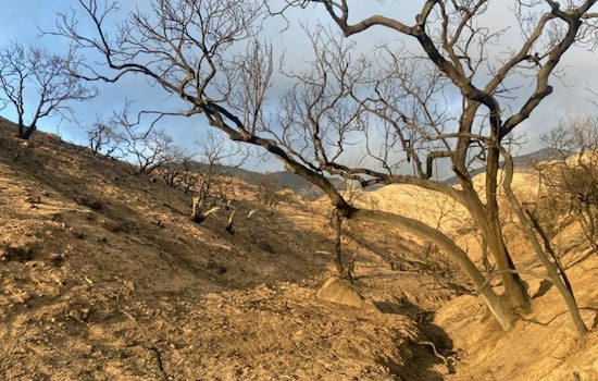 Newsom Signs Law Shielding Altadena From Dense Rebuild Projects